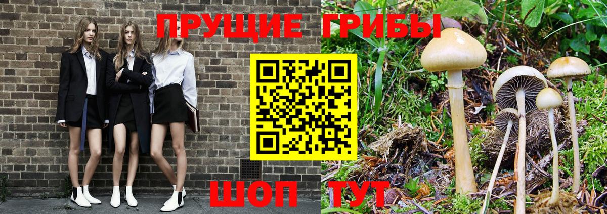 Псилоцибиновые грибы Magic Shrooms  Вход с VPN  Тайшет 